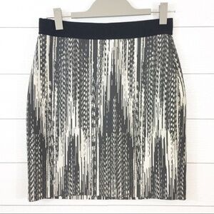 Ann Taylor Skirt